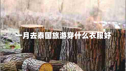 一月去泰国旅游穿什么衣服好
