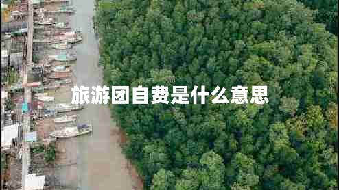 旅游团自费是什么意思