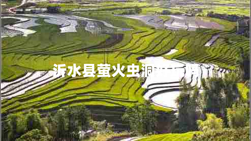 沂水县萤火虫洞好玩吗 沂水县萤火虫洞好玩吗