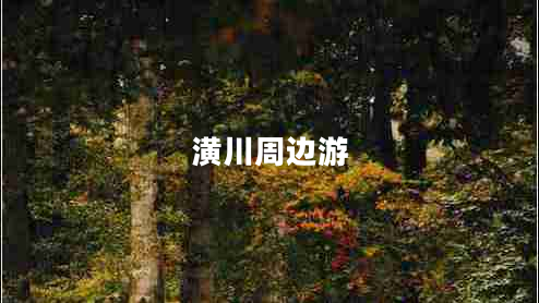 潢川周边游 潢川周边游