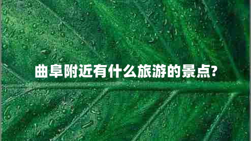 曲阜附近有什么旅游的景点?