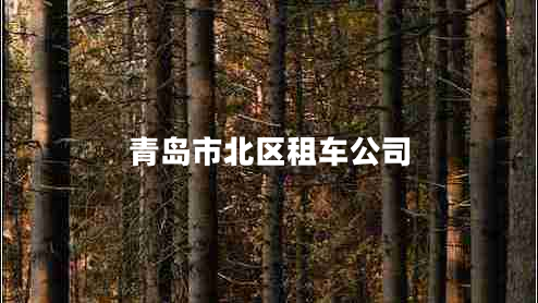 青岛市北区租车公司