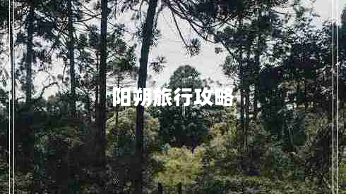 阳朔旅行攻略