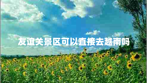 友谊关景区可以直接去越南吗