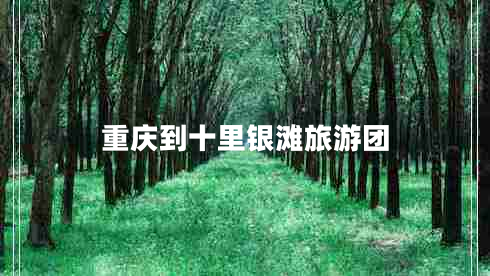 重庆到十里银滩旅游团