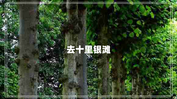 去十里银滩
