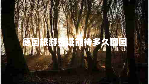 德国旅游签证能待多久回国