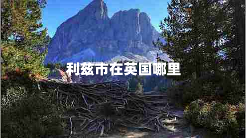 利兹市在英国哪里