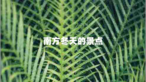 南方冬天的景点