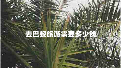 去巴黎旅游需要多少钱