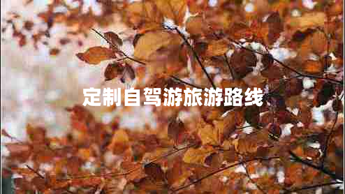 定制自驾游旅游路线