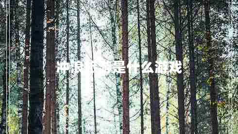 冲浪旅游是什么游戏