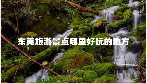 东莞旅游景点哪里好玩的地方