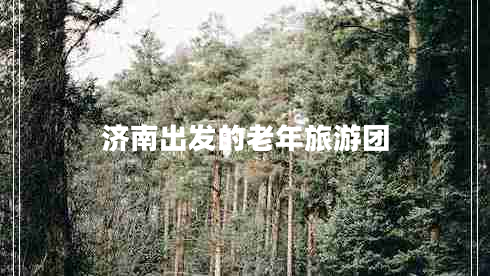 济南出发的老年旅游团