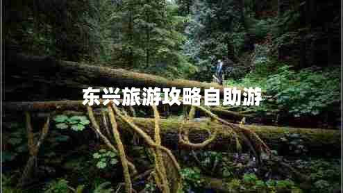 东兴旅游攻略自助游