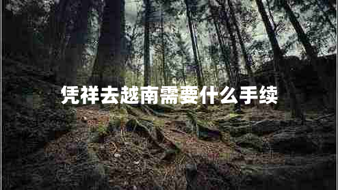 凭祥去越南需要什么手续