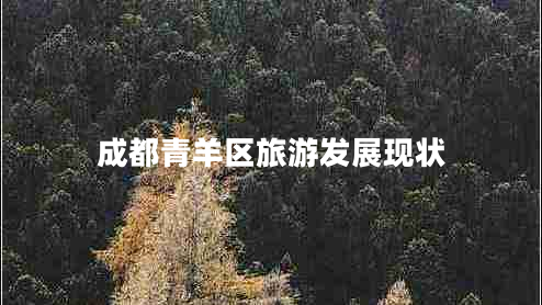 成都青羊区旅游发展现状