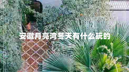 安徽月亮湾冬天有什么玩的
