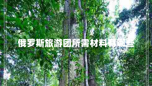 俄罗斯旅游团所需材料有哪些