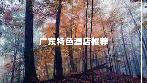 广东特色酒店推荐
