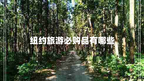纽约旅游必购品有哪些