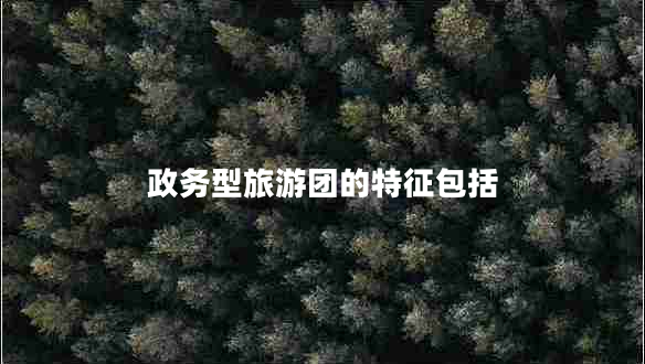 政务型旅游团的特征包括