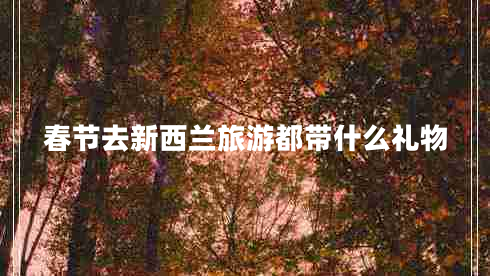 春节去新西兰旅游都带什么礼物