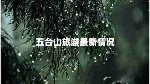 五台山旅游最新情况