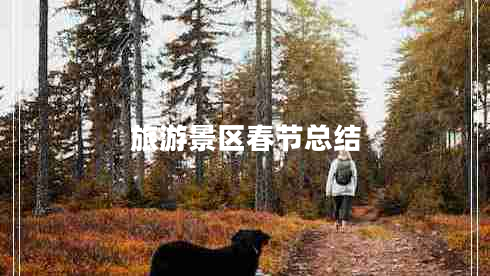 旅游景区春节总结