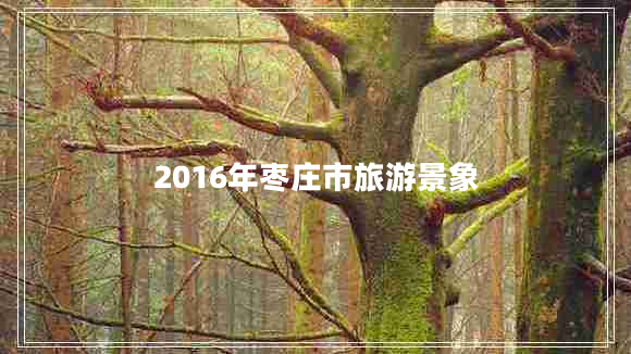 2016年枣庄市旅游景象