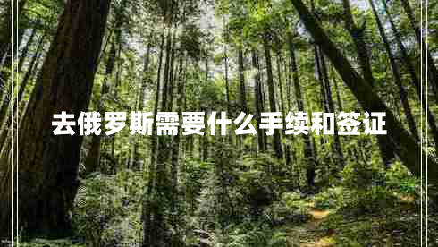 去俄罗斯需要什么手续和签证