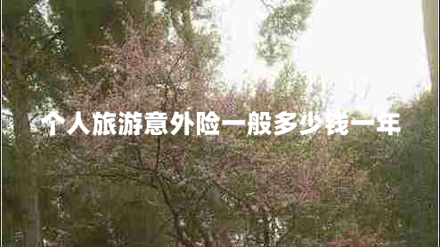 个人旅游意外险一般多少钱一年