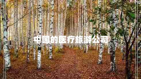 中国的医疗旅游公司