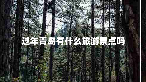 过年青岛有什么旅游景点吗
