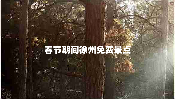 春节期间徐州免费景点