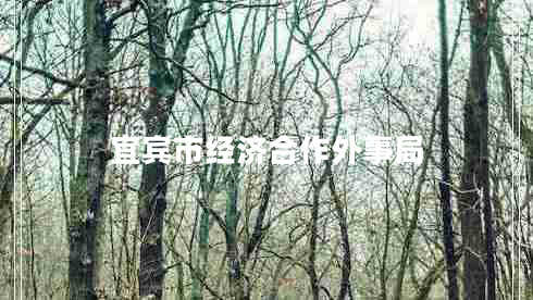 宜宾市经济合作外事局