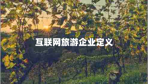 互联网旅游企业定义 互联网旅游企业定义