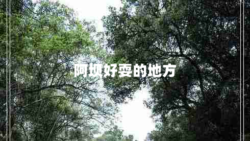 阿坝好耍的地方