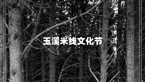 玉溪米线文化节
