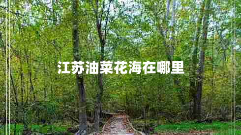 江苏油菜花海在哪里