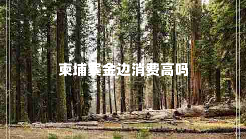 柬埔寨金边消费高吗