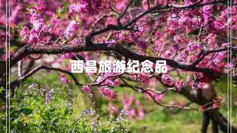 西昌旅游纪念品