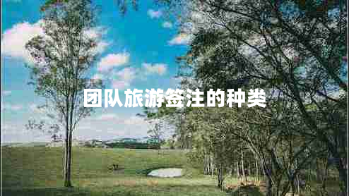 团队旅游签注的种类