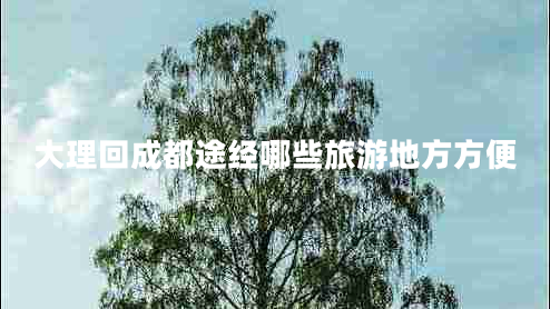 大理回成都途经哪些旅游地方方便