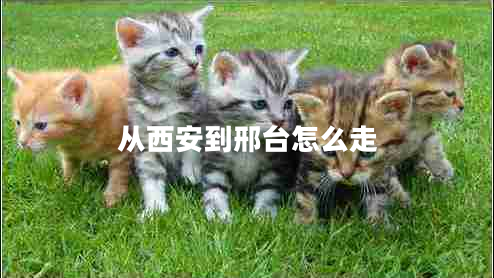 从西安到邢台怎么走
