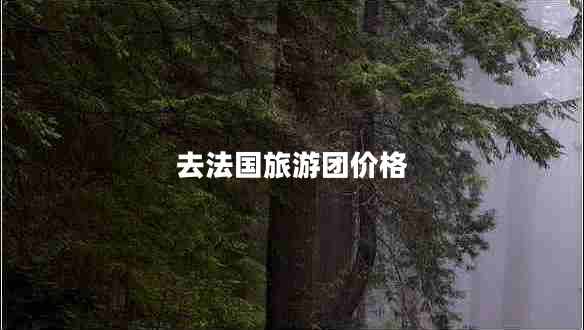 去法国旅游团价格