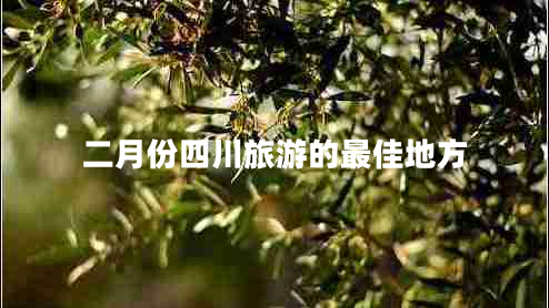 二月份四川旅游的最佳地方