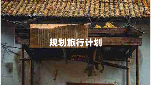 规划旅行计划