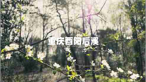 重庆酉阳后溪