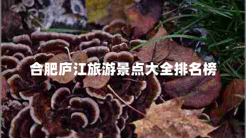 合肥庐江旅游景点大全排名榜